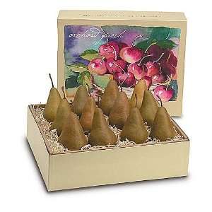  Golden Italian Bosc Pears Fruit Basket