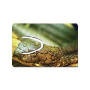  Snake Bookmark Great Unique Gift Idea 
