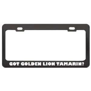 Got Golden Lion Tamarin? Animals Pets Black Metal License Plate Frame 