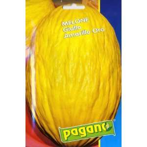  Pagano 8016 Melon (Melone) Oro Golden Amarillo Seed Packet 