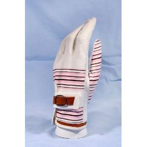  Neopolitan Stripe buckled glove