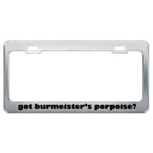Got BurmeisterS Porpoise? Animals Pets Metal License Plate Frame 