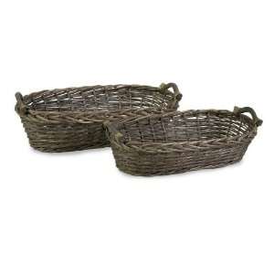 Imax Corporation 67096 2 Taylor Willow Baskets   Set of 2
