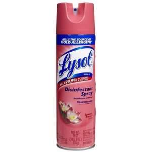  Lysol Disinfectant Spray Summer Breeze 19 oz (Quantity of 