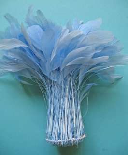 30 PCS. LIGHT BLUE STRIPPED COQUE ROOSTER FEATHERS  