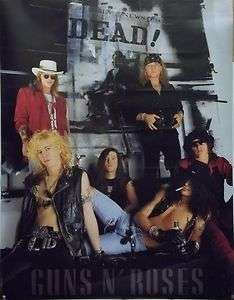 Guns N Roses 23x30 Use Your Illusion Group Poster 1991  