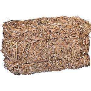  Straw Porch Bale Toys & Games