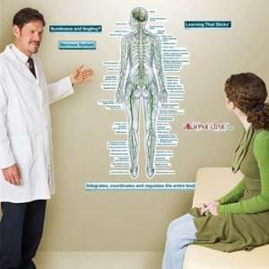  Nervous System Rear View Labeled Sticky Anatomy Wall Chart 