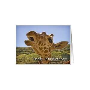  Happy 16th Birthday   talking giraffe Card Toys & Games