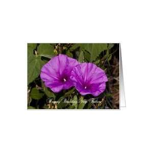 step father birthday, Morning Glories Card
