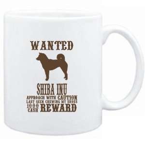   White  Wanted Shiba Inu   $1000 Cash Reward  Dogs
