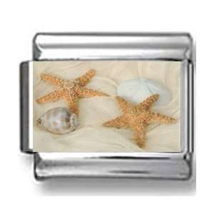  Seashells and Starfish on Sand Photo Italian Charm 