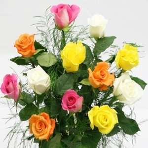 Rainbow Roses Bouquet  Grocery & Gourmet Food