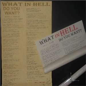   Aint Comin    WHAT IN HELL DO YOU WANT? The Poem On Parchment