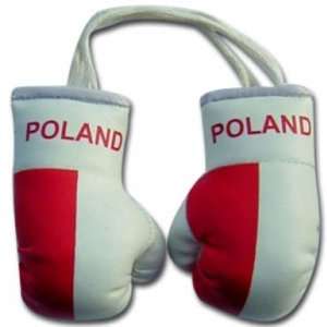  Poland Flag Mini Boxing Gloves