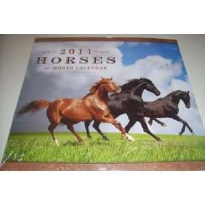  2011 Horses Wall Calendar