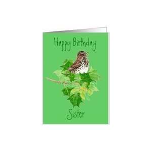  Happy Birthday Sparrow, Sister Card Health & Personal 
