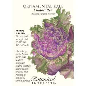   1266 Ornamental Kale Chidori Red Seed Packet Patio, Lawn & Garden