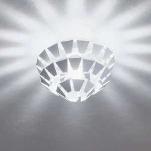  Zaneen Agave Ceiling Light