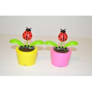  4¼ Plastic Solar Powered Dancing Ladybugs, Pack of 2 