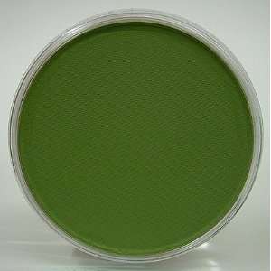  PanPastel Chromium Oxide Green 660.5 Arts, Crafts 