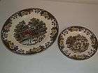 Royal China USA Fair Oaks Brown/Mulitcol​or Dinner & Bread Plates 2 