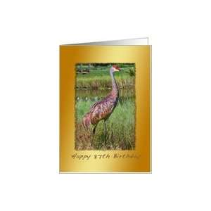  Birthday, 87th, Sandhill Crane Bird Card Toys & Games