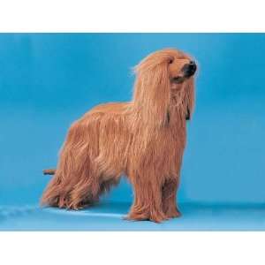  XX Large Afghan Dog Puppy Decoration Statue Model 