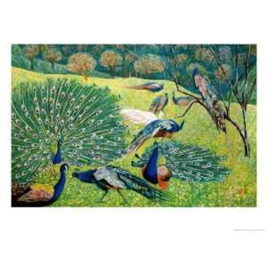  A Group of Peacocks Giclee Poster Print by Komi Chen 