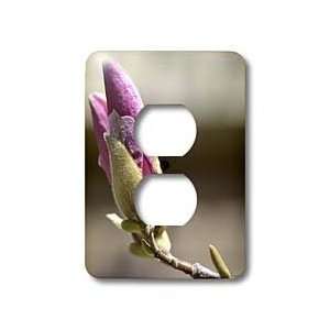   Spring Photography  Floral   Light Switch Covers   2 plug outlet cover