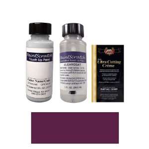   Purple Paint Bottle Kit for 1966 Fleet PPG Paints (51512) Automotive