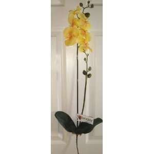  Phalaenopsis Silk Orchid with Leaves   Citrine Yellow 