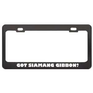  Got Siamang Gibbon? Animals Pets Black Metal License Plate 