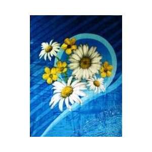  Providencia PF1012 Omega 71x87 Blanket   Daisies Blue 