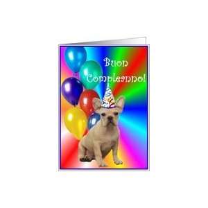  Buon Compleanno French Bulldog Puppy Card Health 
