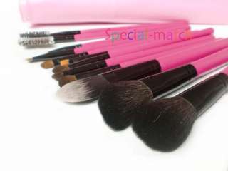 Professional 12pcs MAKEUP Face Cosmetic Brush Brushes SET POUCH MAKE 
