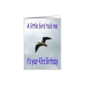  Happy 43rd Birthday Flying Seagull bird Card Toys & Games