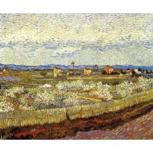  Oil Painting La Crau with Peach Trees in Bloom Vincent 