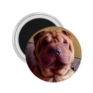  Sharpei 9 2.25in Magnet R0765 