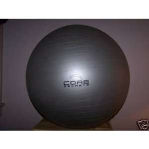  Core Secrets Exercise Ball with Hand Pump Sports 