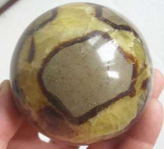 This item is natural tortoise dragon stone Septarium Fossil Crystal 