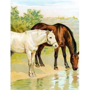   the Watering Hole Counted Cross Stitch Pattern Arts, Crafts & Sewing