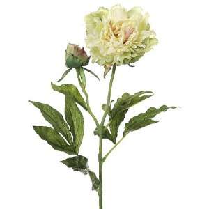  Faux 28 Peony Spray Two Tone Green (Pack of 12) Patio 