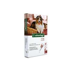 Advantage Red 6 Pack Large Dogs