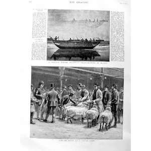 1886 Judging Sheep Cattle Show Madras Mirage Boat