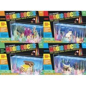  NSI   Magic Rocks Assorted (Science) Toys & Games