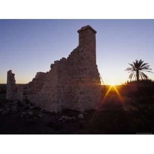  Farm House Brick Ruins and a Date Palm Silhouetted at 