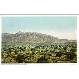    Reprint Albuquerque NM   Sandia Mountains 1900 1909