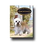 DANDIE DINMONT A House Is Not A Home FRIDGE MAGNET Dog