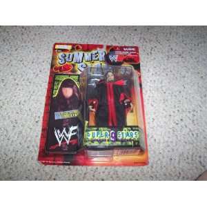  Wwf Summer Slam 1999 Undertaker Toys & Games